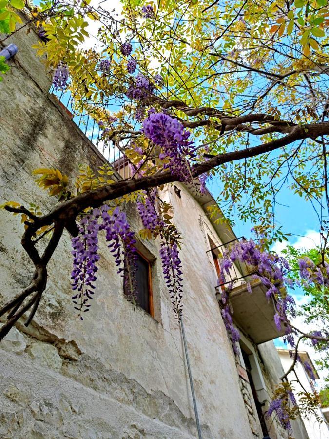 Ai Limiti • 67 • Stonehouse Konuk evi Palombaro Dış mekan fotoğraf