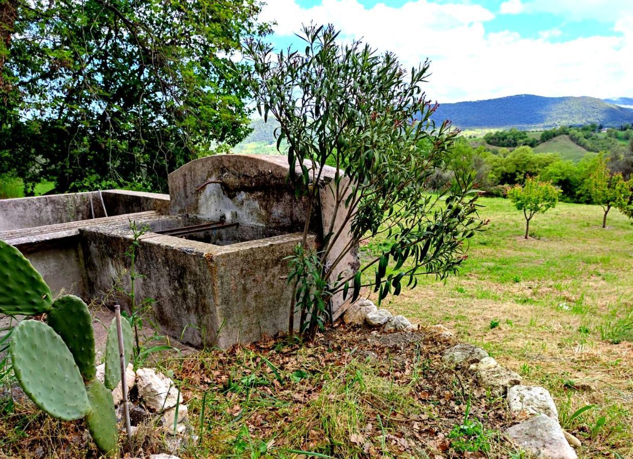 Ai Limiti • 67 • Stonehouse Konuk evi Palombaro Dış mekan fotoğraf